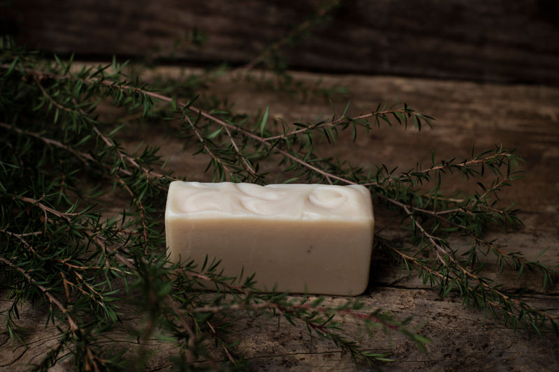 Natureworx Soap and Shampoo Bars