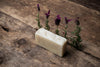 Natureworx Soap and Shampoo Bars