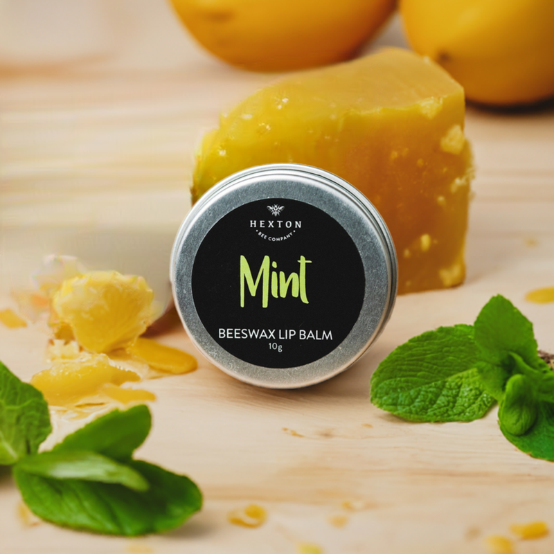 Beeswax Lip Balm  - Mint - 10g