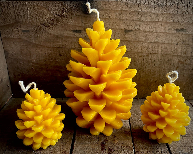 Beeswax Candle - Solid Pinecone - Large