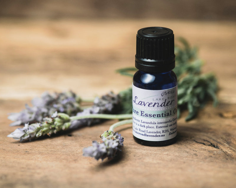 Lavender Essential Oil - 10ml